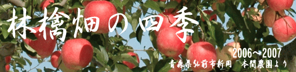 りんご畑四季